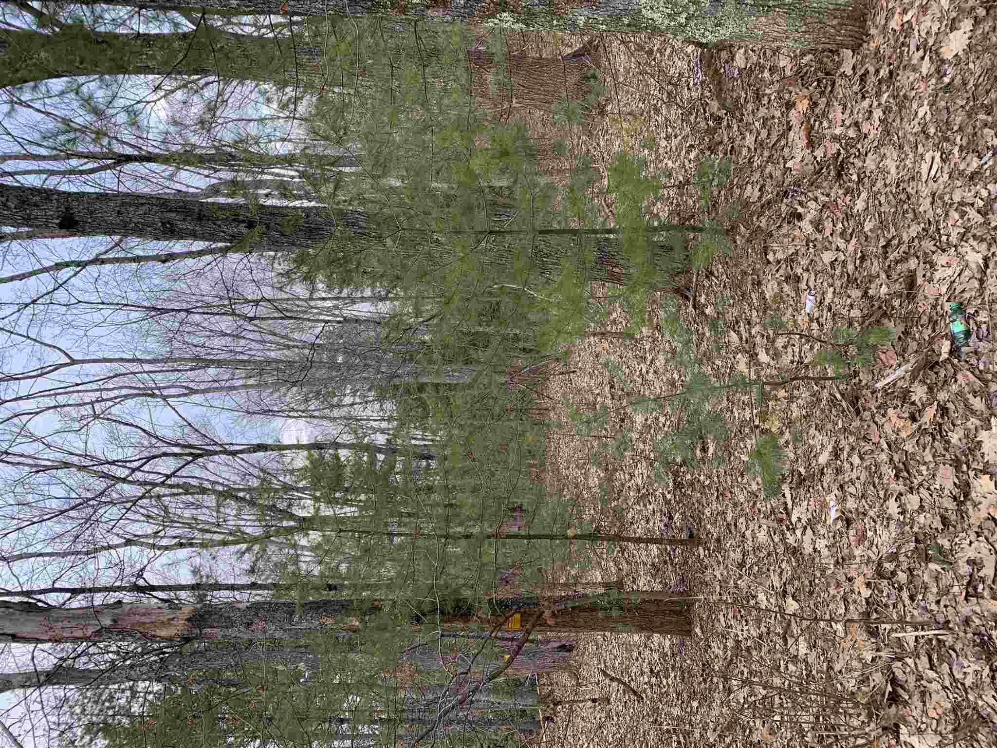 19 Bancroft Road, Unit 12481 Londonderry, NH 03053 - Photo 4 of 6 Gallery Image 4