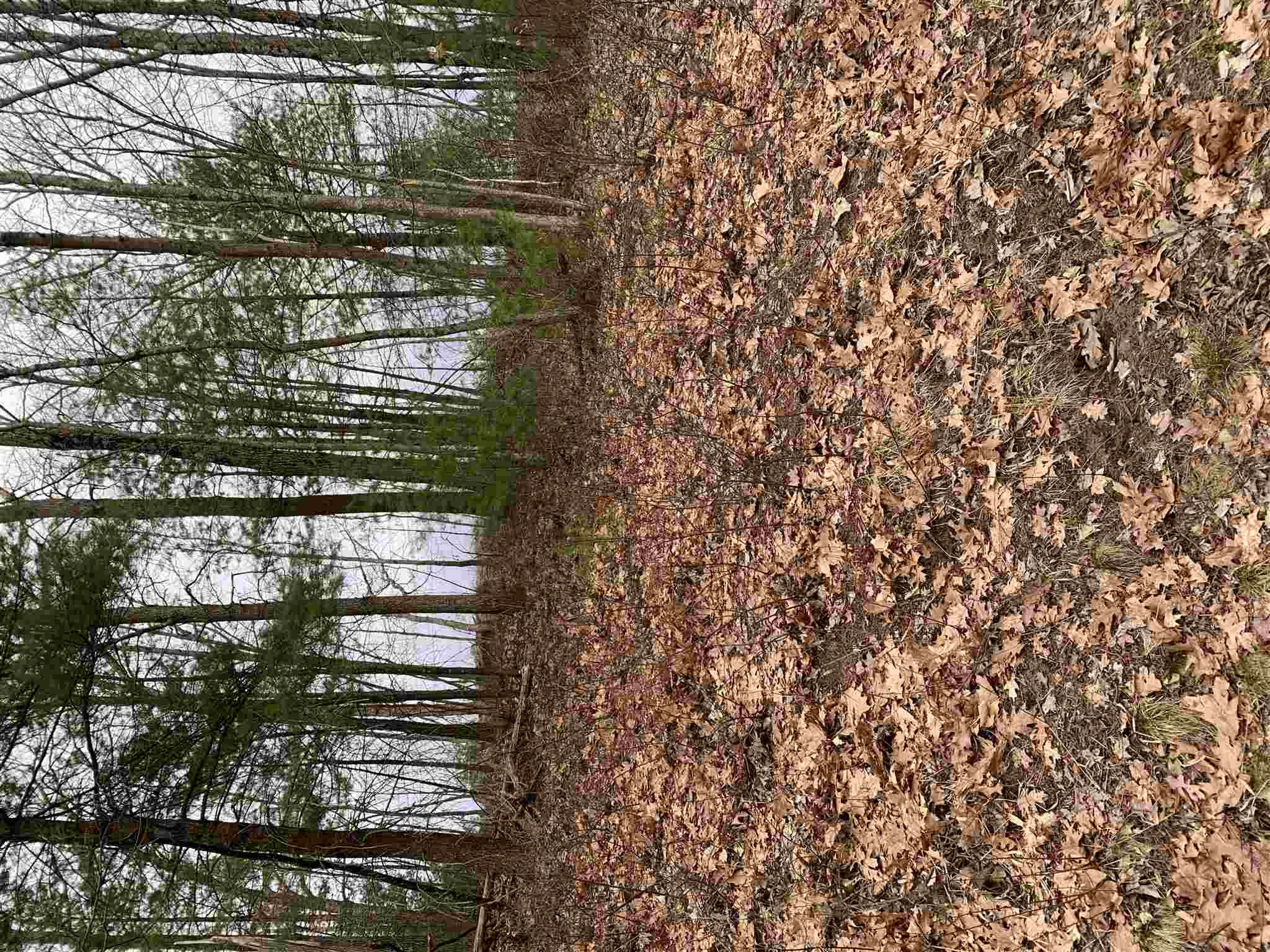 19 Bancroft Road, Unit 12481 Londonderry, NH 03053 - Photo 5 of 6 Gallery Image 5