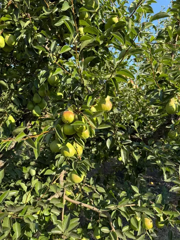a view of a terrace with chairs