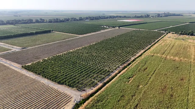 a view of lake from a balcony