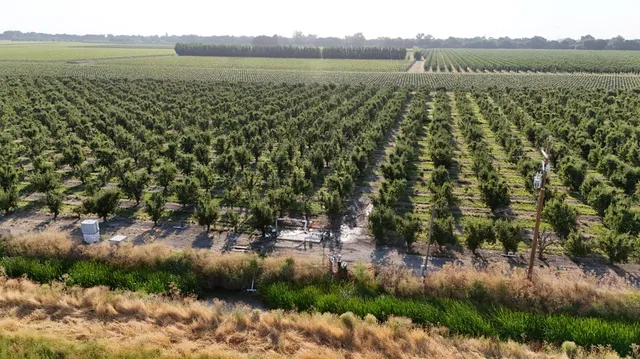an outdoor space with lounge chair