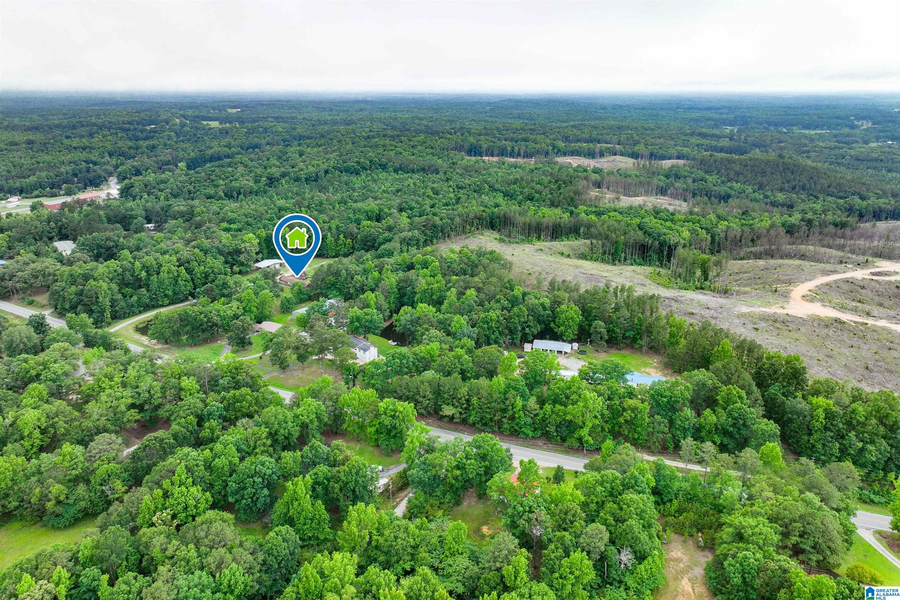 3869 Highway 155 Montevallo, AL 35115 - Photo 66 of 66