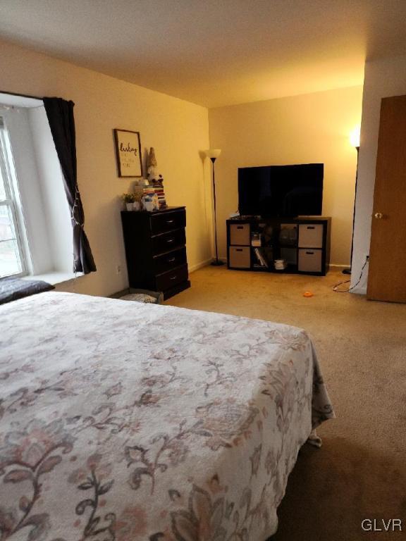 40 Corriere Road Easton, PA 18045 - Photo 29 of 44 a bedroom with a bed and a flat screen tv