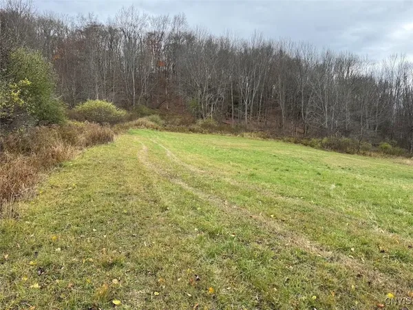 $125,000 | Haskell Road, Cuba, NY 14727