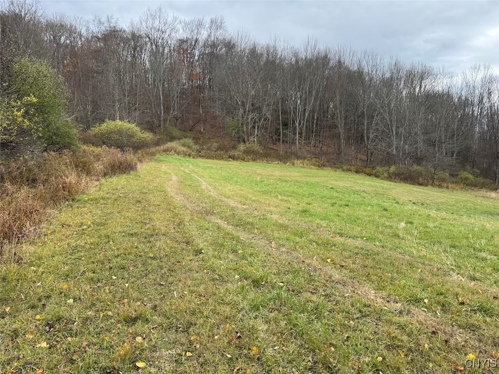 Haskell Road Cuba, NY 14727 - Photo 11 of 48