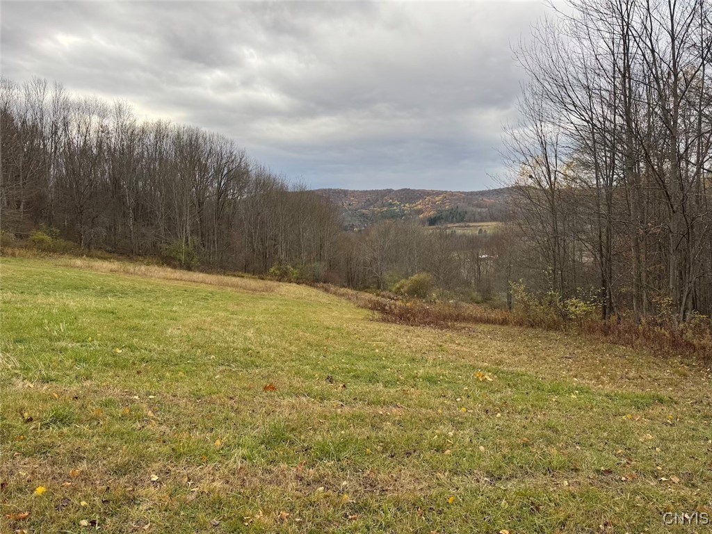 Haskell Road Cuba, NY 14727 - Photo 12 of 48