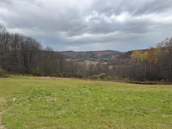 $125,000 | Haskell Road, Cuba, NY 14727