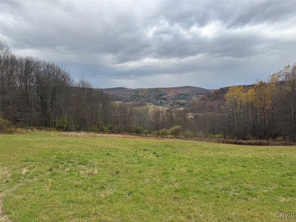 Haskell Road Cuba, NY 14727 - Photo 13 of 48