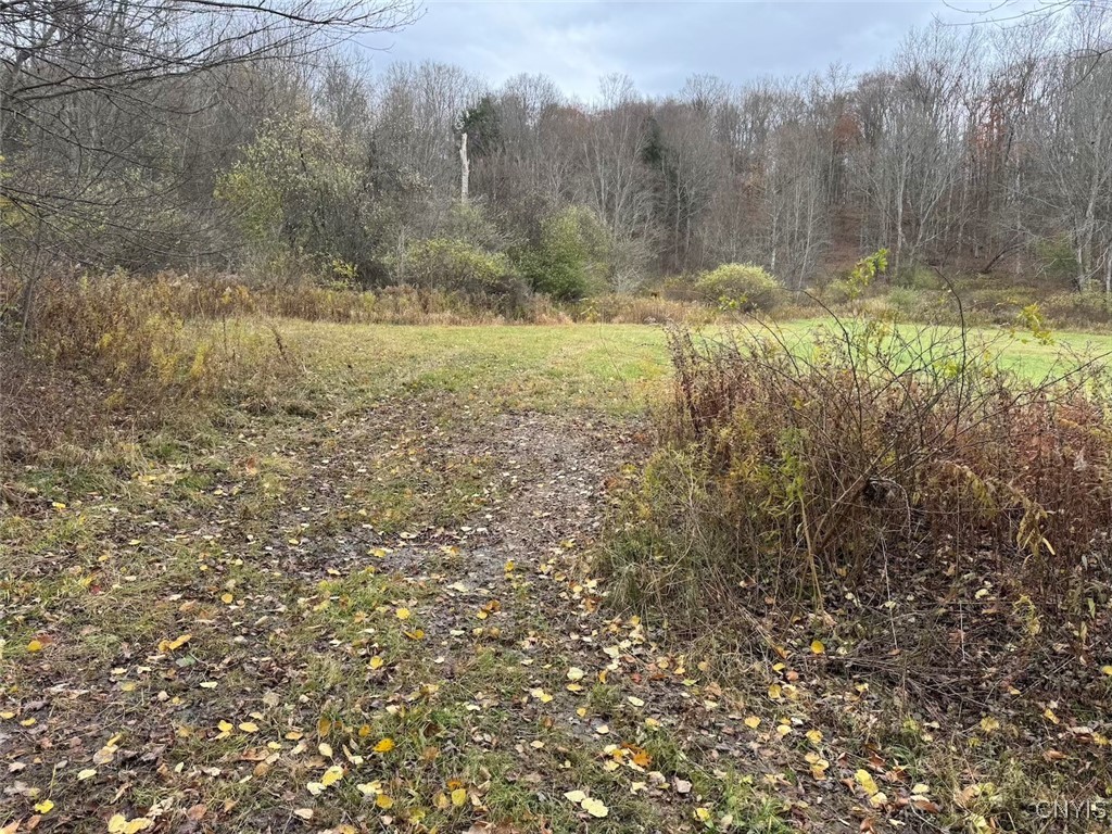 Haskell Road Cuba, NY 14727 - Photo 14 of 48