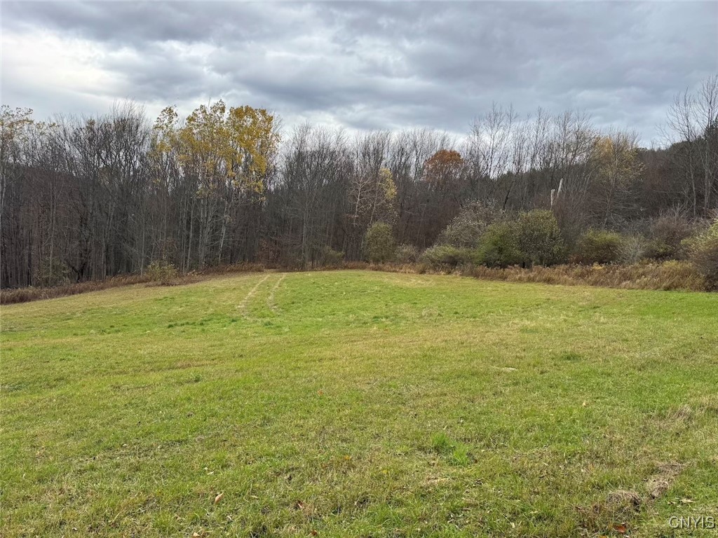 Haskell Road Cuba, NY 14727 - Photo 15 of 48