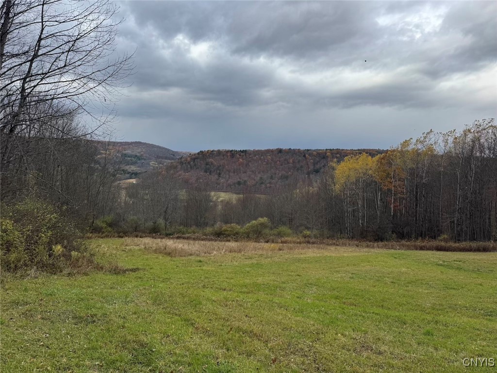 Haskell Road Cuba, NY 14727 - Photo 16 of 48