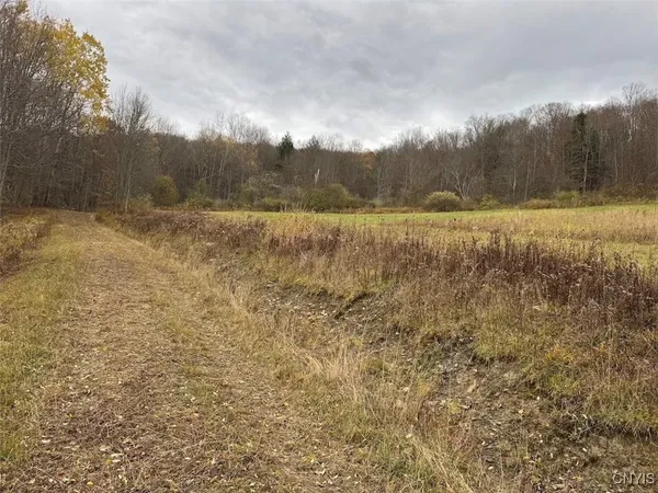 $125,000 | Haskell Road, Cuba, NY 14727
