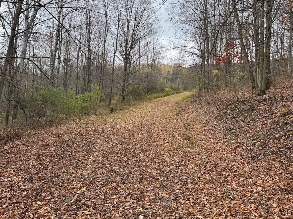 Haskell Road Cuba, NY 14727 - Photo 18 of 48