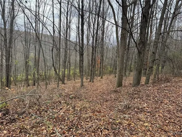 $125,000 | Haskell Road, Cuba, NY 14727