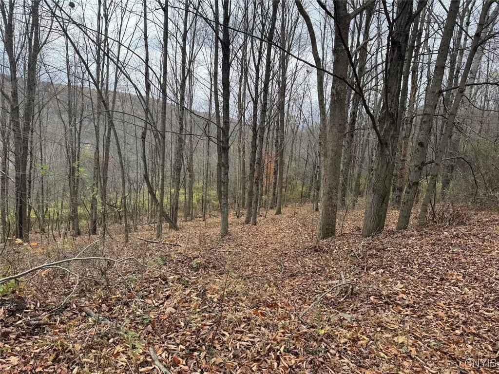 Haskell Road Cuba, NY 14727 - Photo 19 of 48