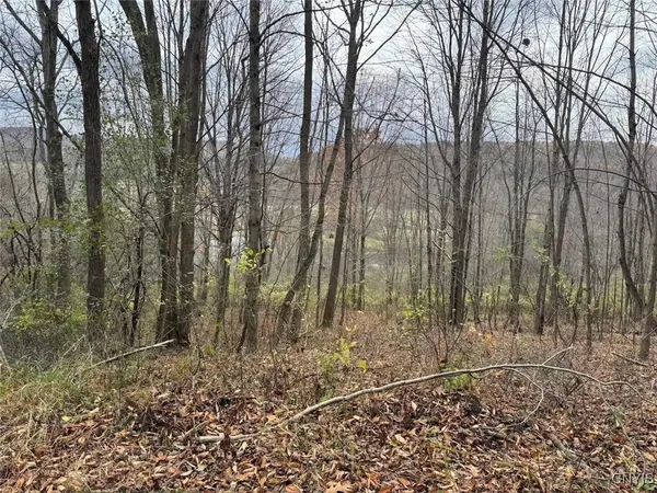 $125,000 | Haskell Road, Cuba, NY 14727