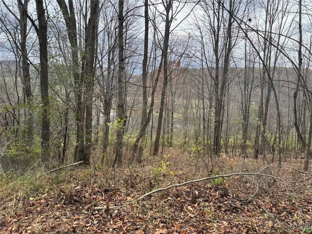 Haskell Road Cuba, NY 14727 - Photo 20 of 48