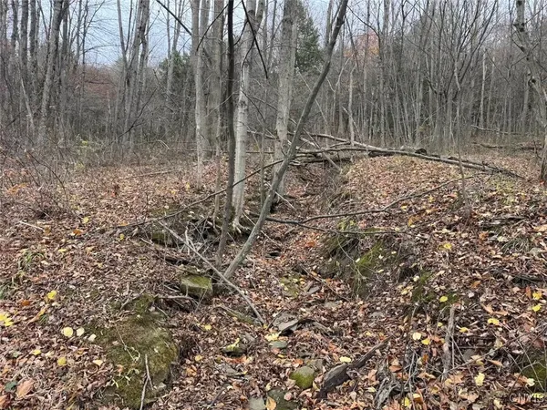 $125,000 | Haskell Road, Cuba, NY 14727