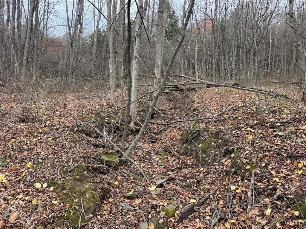 Haskell Road Cuba, NY 14727 - Photo 21 of 48