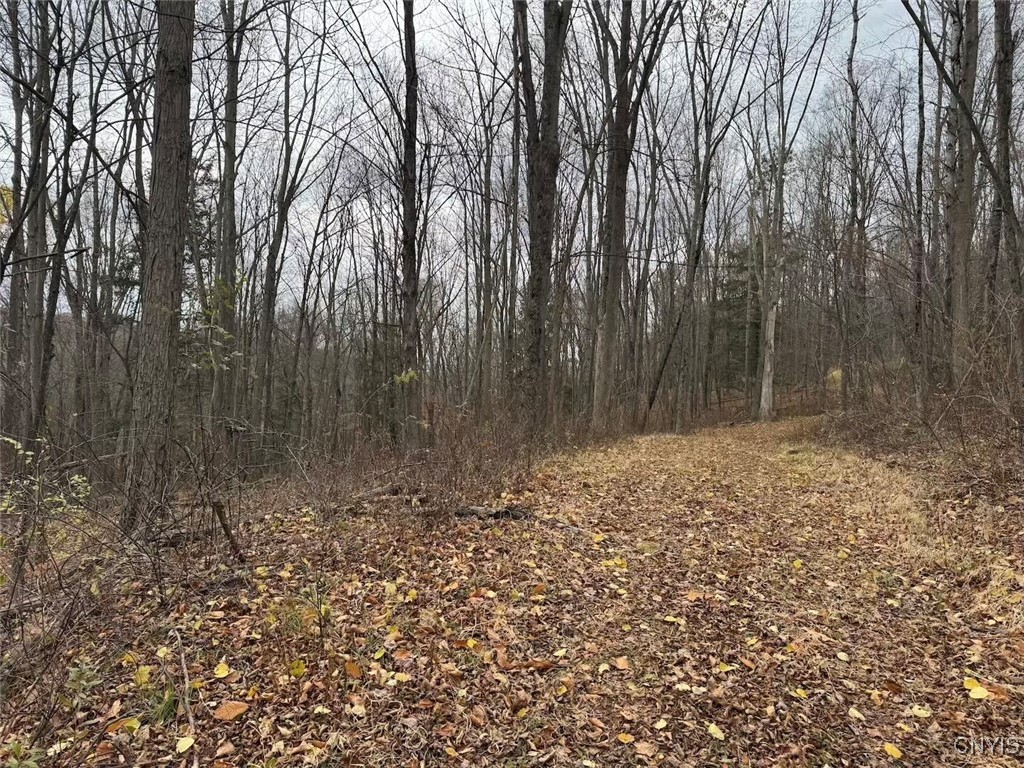 Haskell Road Cuba, NY 14727 - Photo 22 of 48