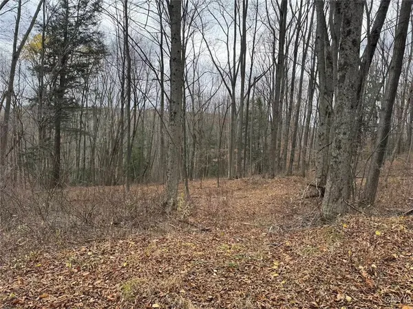 $125,000 | Haskell Road, Cuba, NY 14727