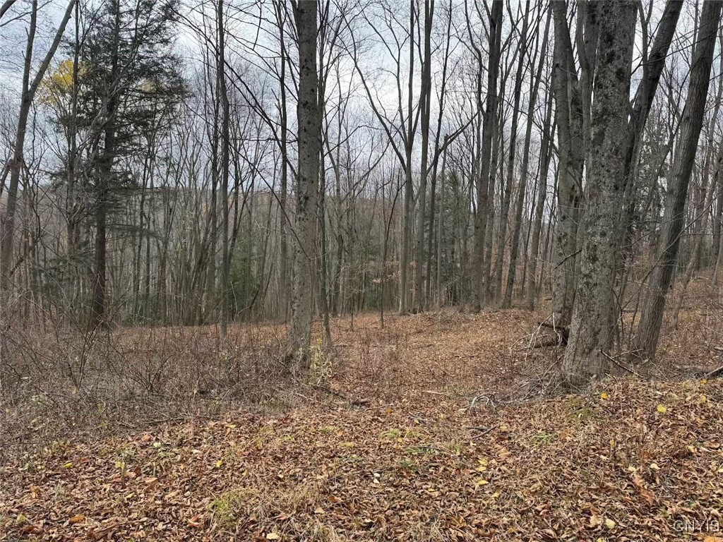 Haskell Road Cuba, NY 14727 - Photo 23 of 48