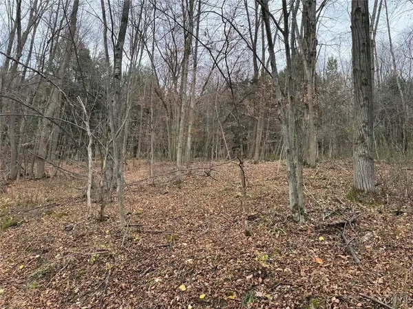 $125,000 | Haskell Road, Cuba, NY 14727