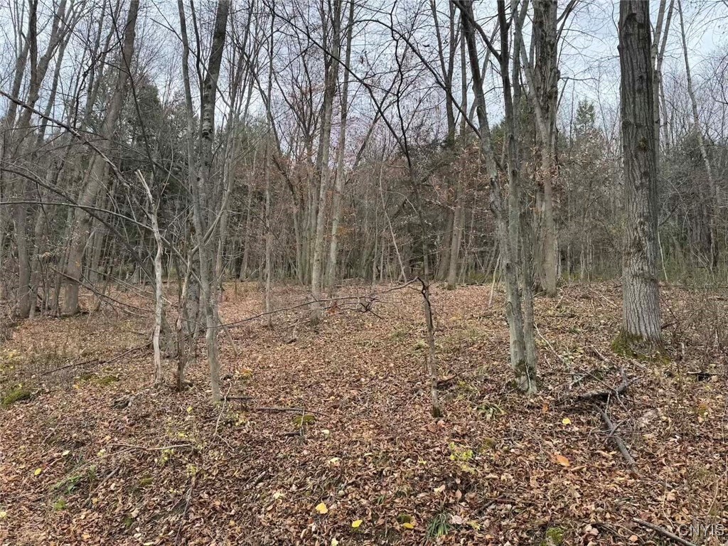 Haskell Road Cuba, NY 14727 - Photo 24 of 48