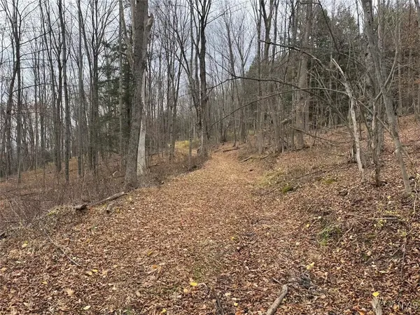 $125,000 | Haskell Road, Cuba, NY 14727