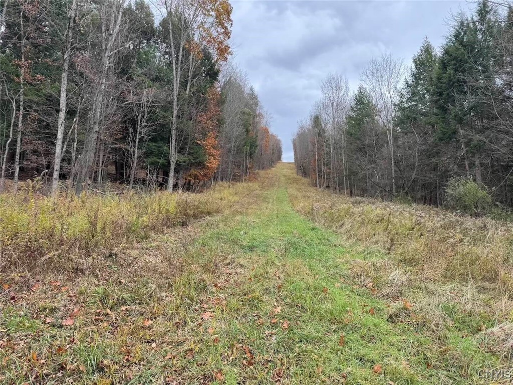Haskell Road Cuba, NY 14727 - Photo 26 of 48