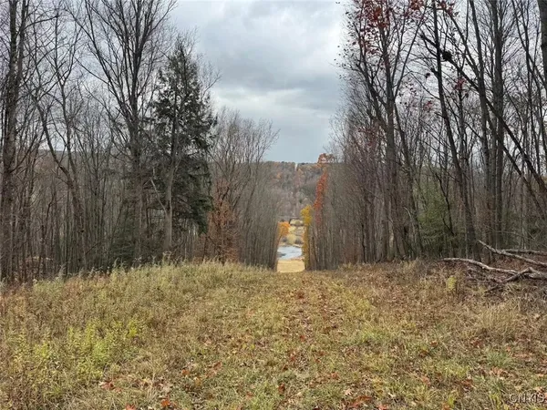 $125,000 | Haskell Road, Cuba, NY 14727