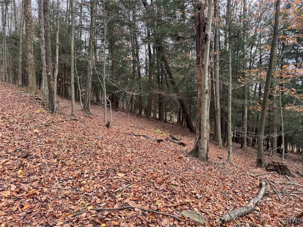 Haskell Road Cuba, NY 14727 - Photo 28 of 48