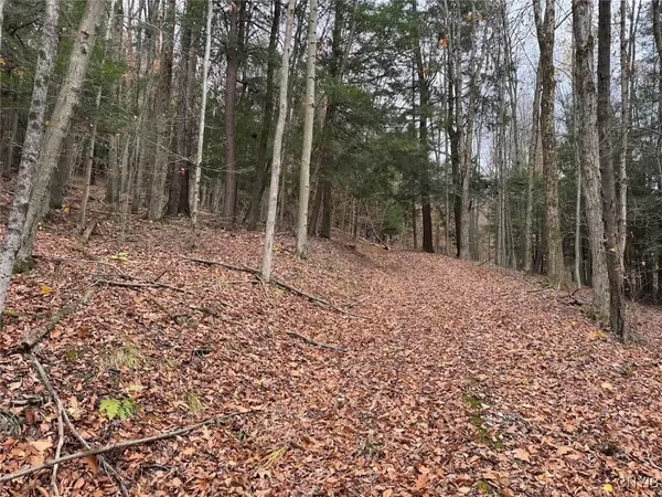 $125,000 | Haskell Road, Cuba, NY 14727