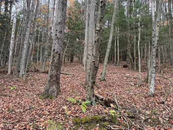 $125,000 | Haskell Road, Cuba, NY 14727