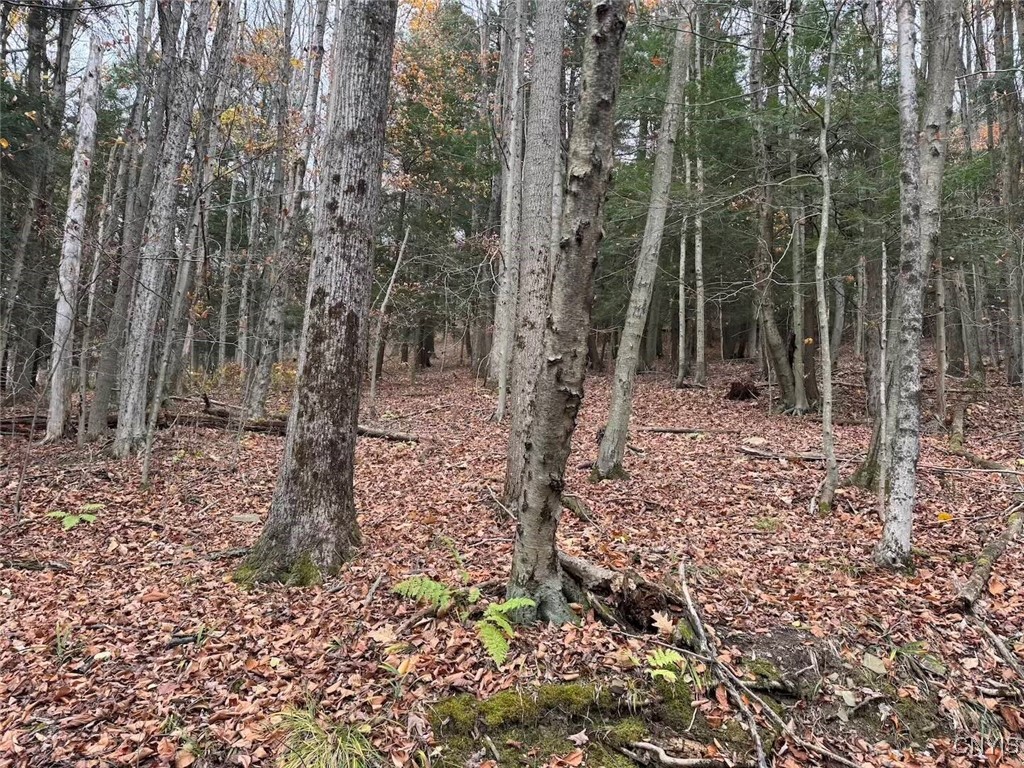 Haskell Road Cuba, NY 14727 - Photo 30 of 48