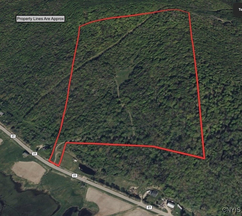 Haskell Road Cuba, NY 14727 - Photo 3 of 48