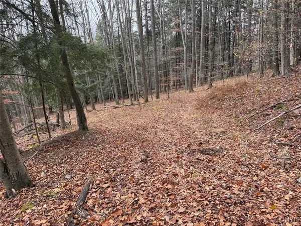 $125,000 | Haskell Road, Cuba, NY 14727