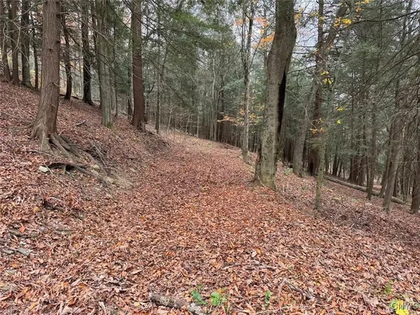 $125,000 | Haskell Road, Cuba, NY 14727