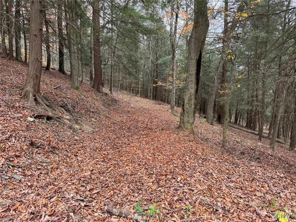 Haskell Road Cuba, NY 14727 - Photo 32 of 48