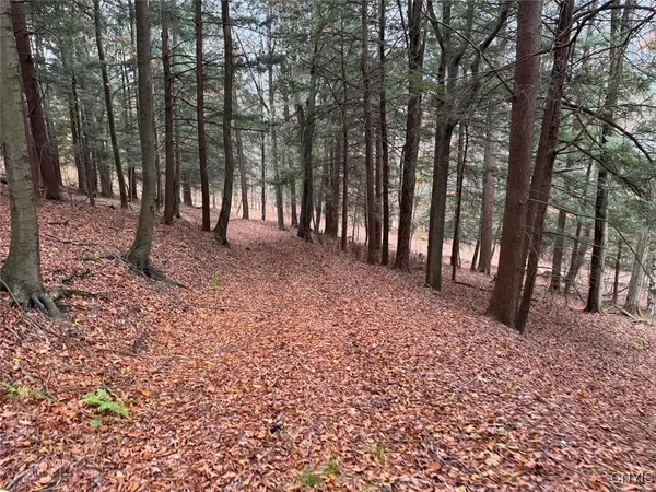 $125,000 | Haskell Road, Cuba, NY 14727