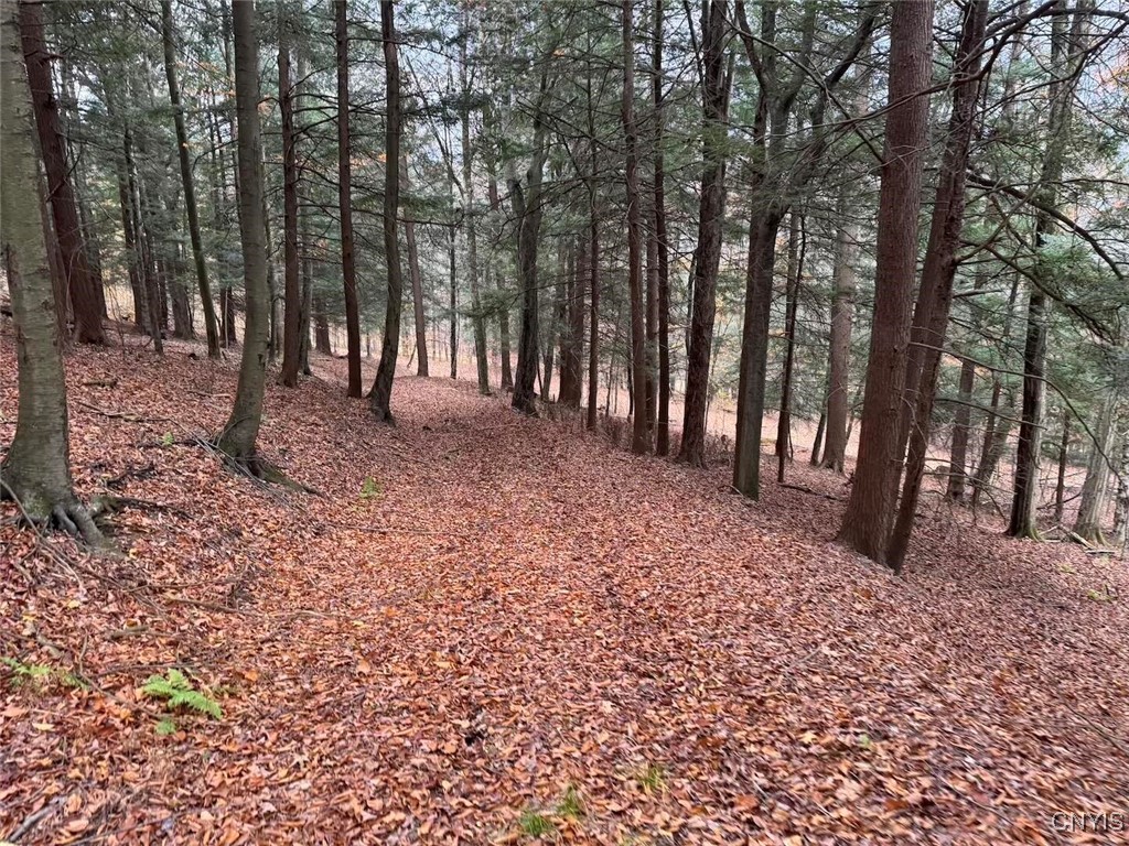 Haskell Road Cuba, NY 14727 - Photo 33 of 48