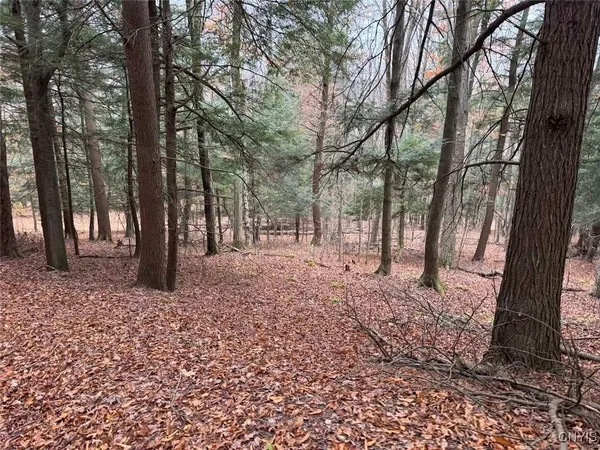 $125,000 | Haskell Road, Cuba, NY 14727