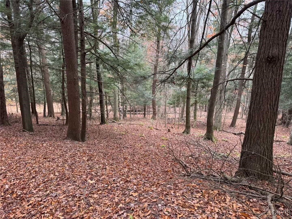 Haskell Road Cuba, NY 14727 - Photo 34 of 48