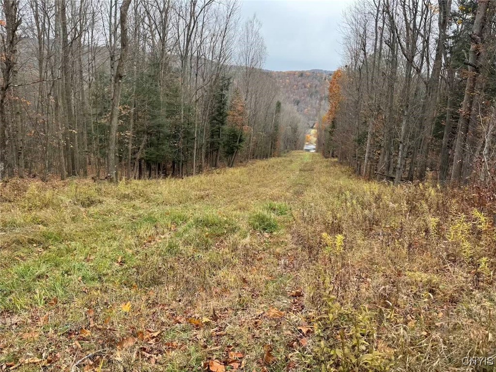 Haskell Road Cuba, NY 14727 - Photo 35 of 48