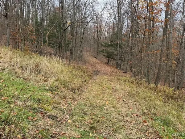 $125,000 | Haskell Road, Cuba, NY 14727