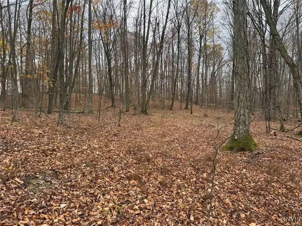 $125,000 | Haskell Road, Cuba, NY 14727