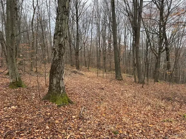 $125,000 | Haskell Road, Cuba, NY 14727