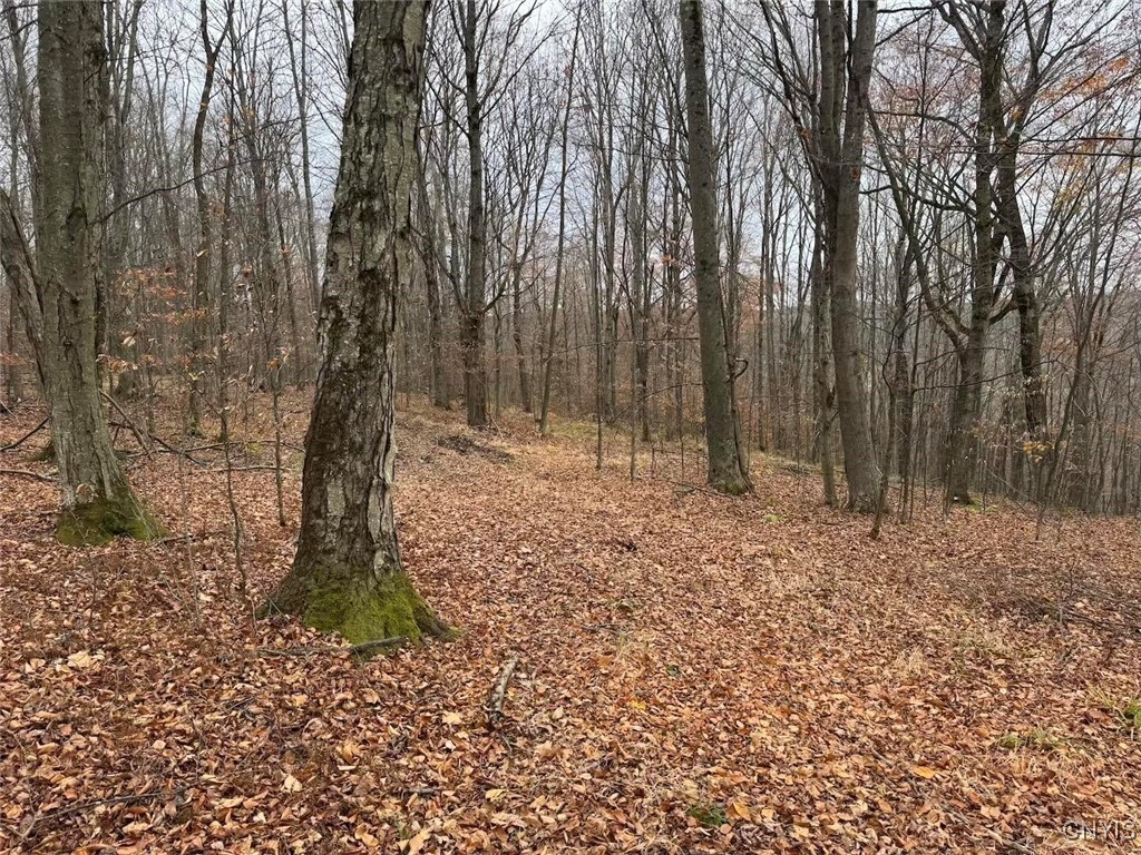 Haskell Road Cuba, NY 14727 - Photo 38 of 48