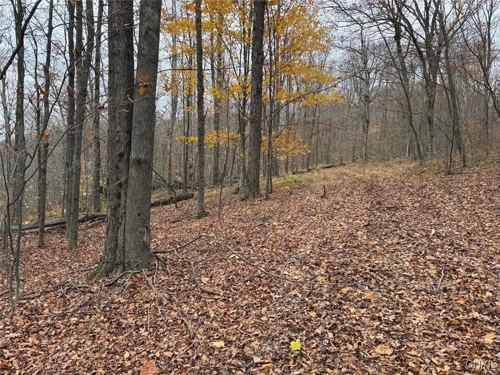 Haskell Road Cuba, NY 14727 - Photo 39 of 48