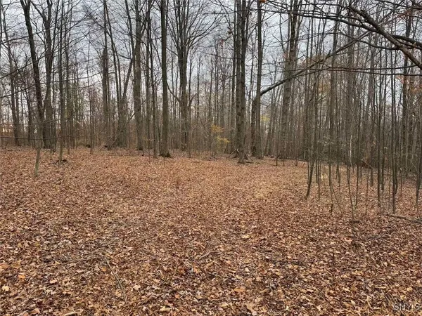 $125,000 | Haskell Road, Cuba, NY 14727